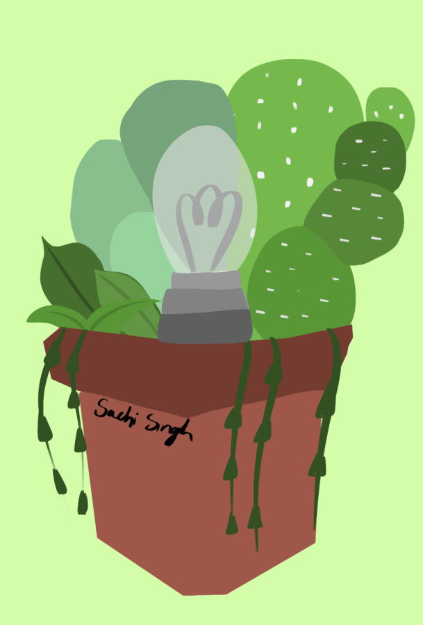 Plants: The Root of Productivity