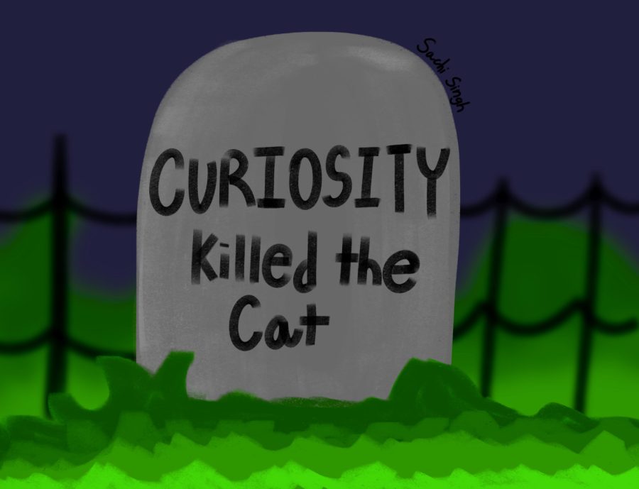 A tombstone of a beloved cat, I guess that's why they say curiosity killed the cat. 