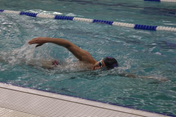 Senior Spotlight: Anthony Chiu