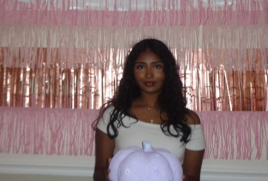 Mahi Krishnam