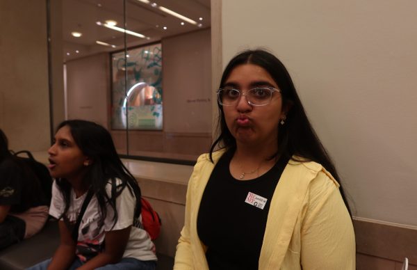 Aarna Wadhwa