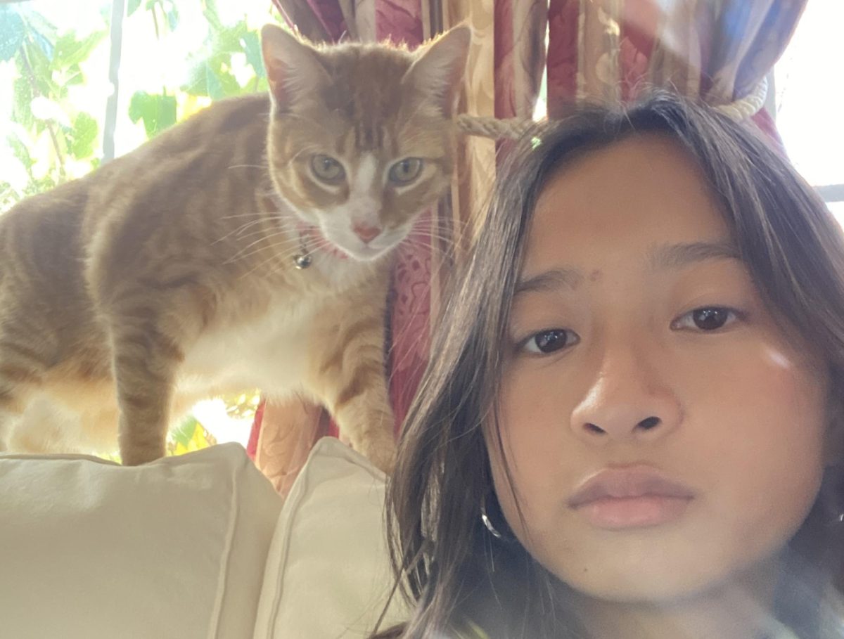 Sophie Sun
