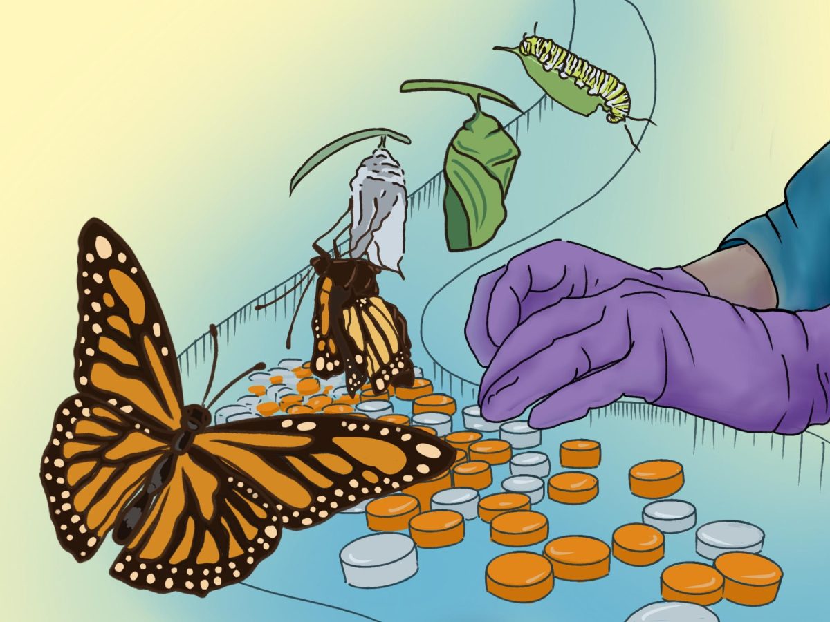 medicine_metamorphoses_(1726)