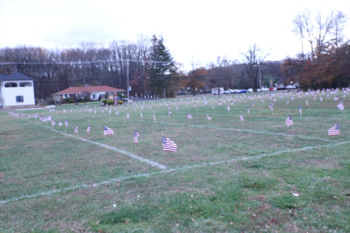 Field of Flags